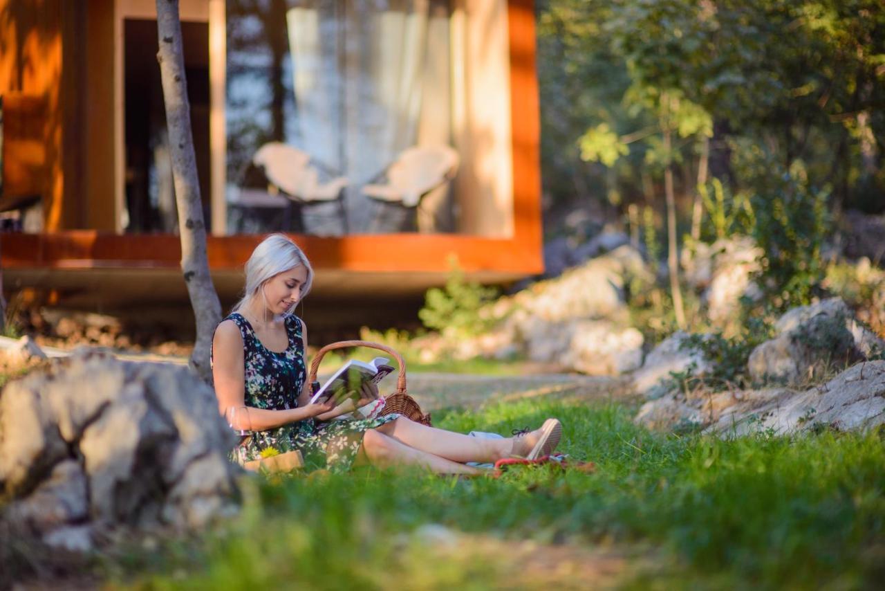 Theodosius Forest Village - Glamping In Vipava Valley Exterior foto