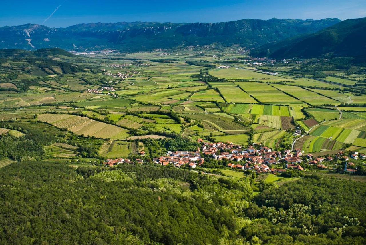 Theodosius Forest Village - Glamping In Vipava Valley Exterior foto