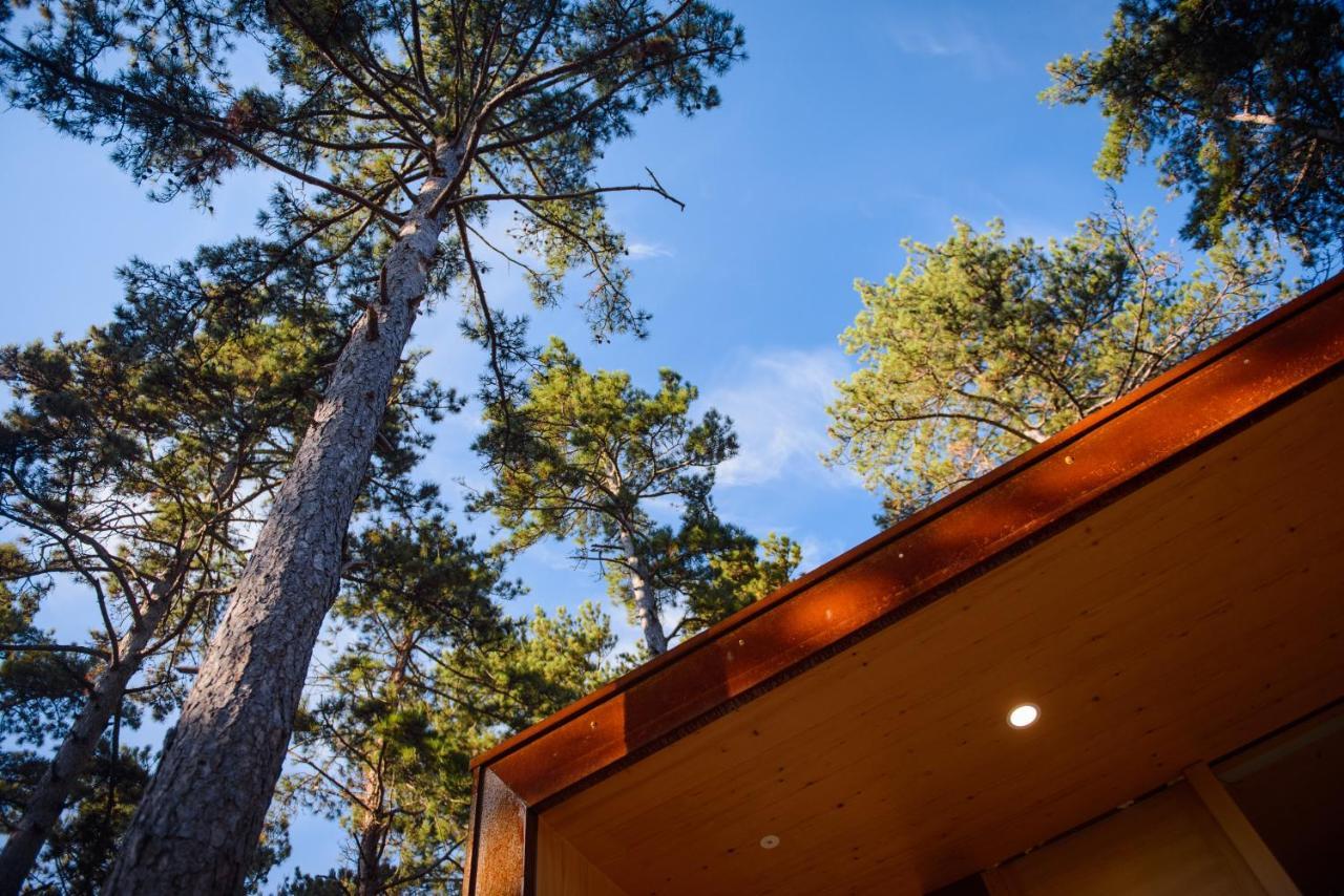 Theodosius Forest Village - Glamping In Vipava Valley Exterior foto